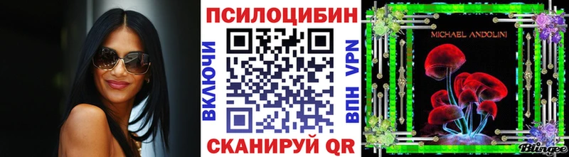 kraken ссылки  Вилючинск  Псилоцибиновые грибы Psilocybine cubensis 